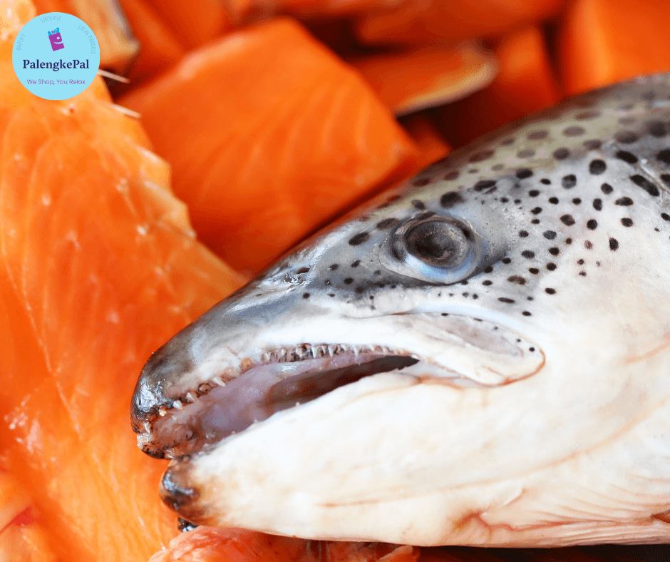Salmon Head