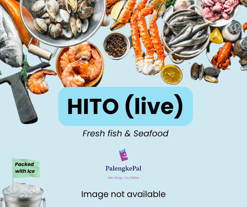 Hito (live)
