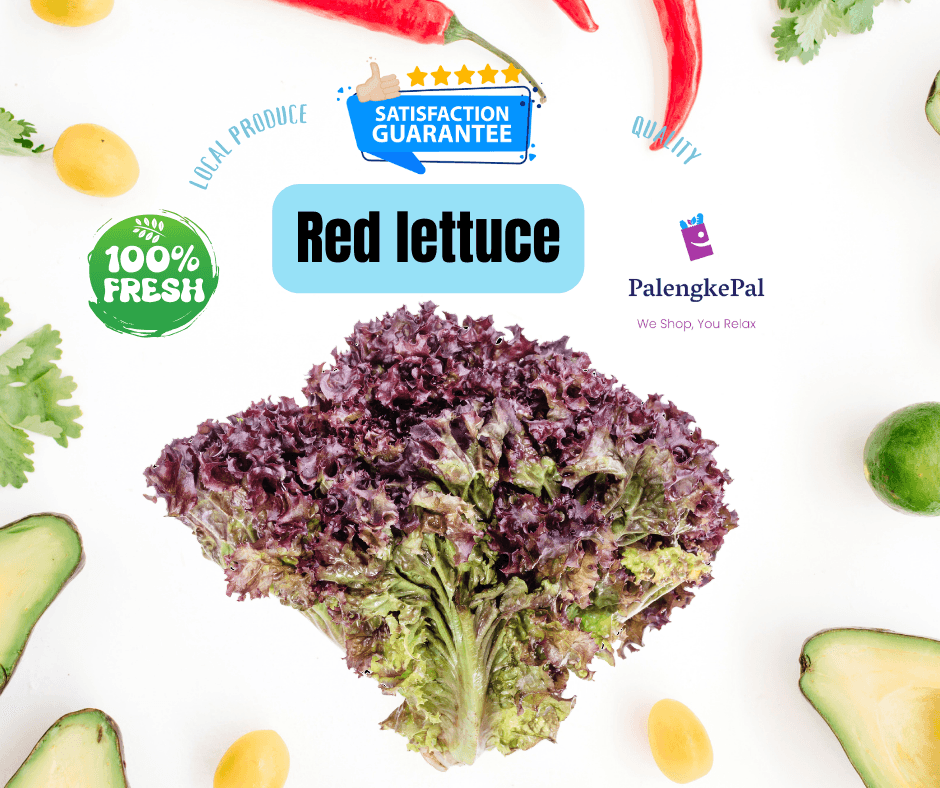 Red Lettuce