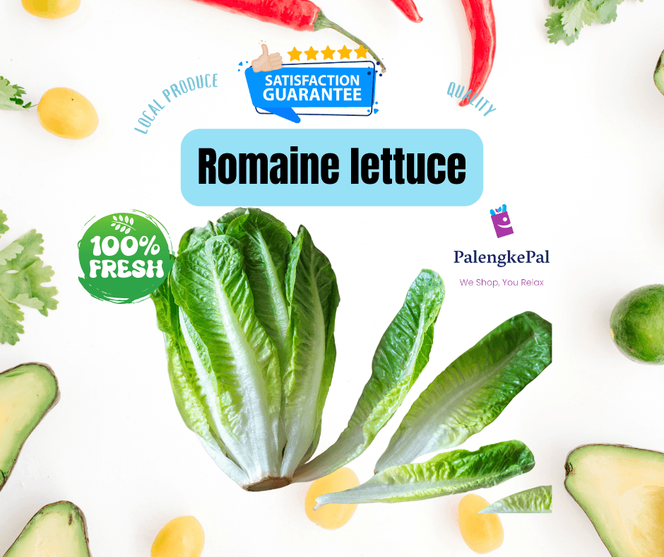 Romaine Lettuce