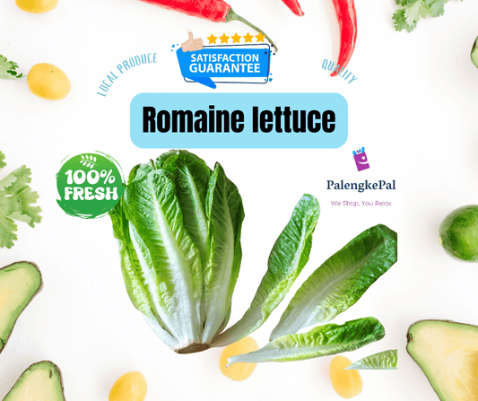 Romaine Lettuce